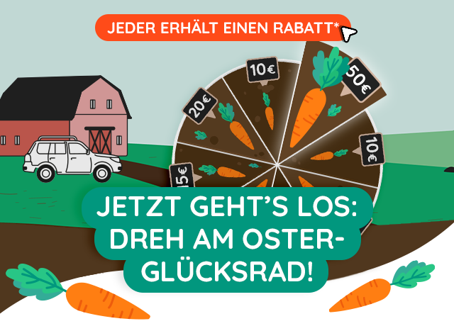 Carsharing